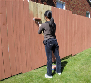fence 